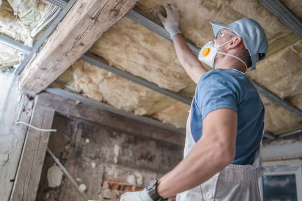 Best Insulation for Specific Applications in New Brockton, AL