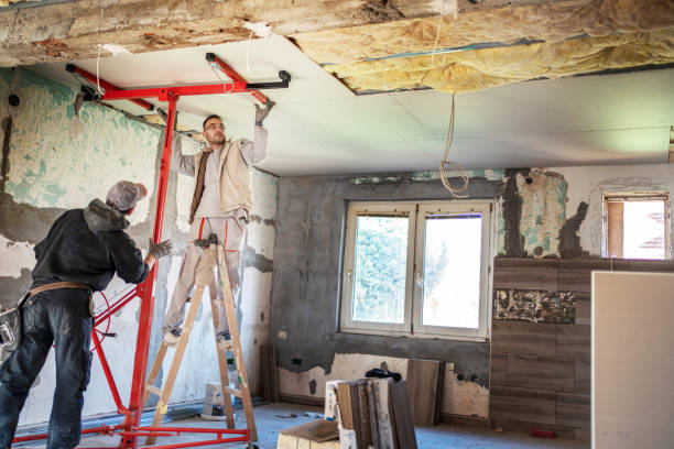 Reliable New Brockton, AL Insulation Contractor Solutions