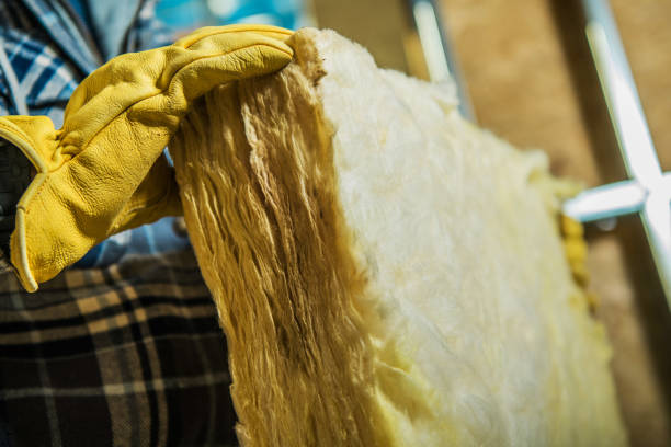 Best DIY Insulation Kits and Guidance in New Brockton, AL